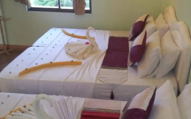 Summer Villa Guest House - photo 4
