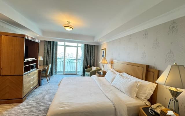 Premium SA at 4 Seasons Hotel - photo 2
