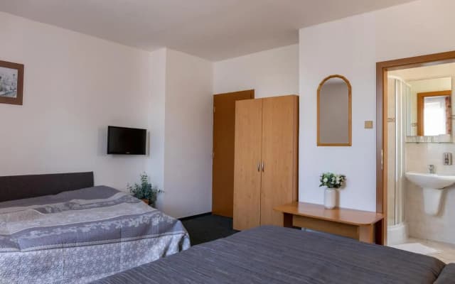 Hotel Kanarek - photo 3