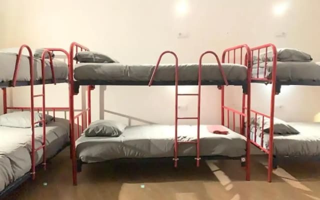 Boga Hostel - photo 5