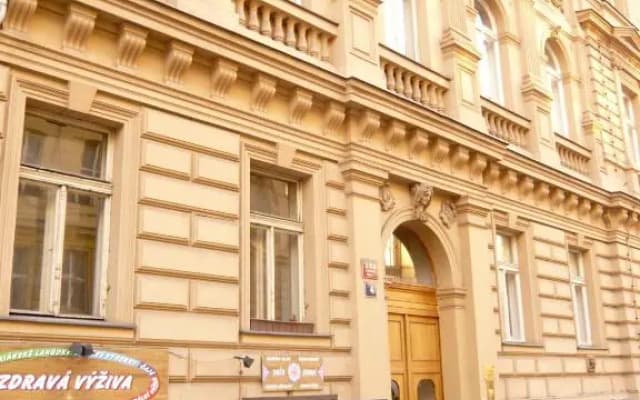 JustPrague Apartment - photo 2