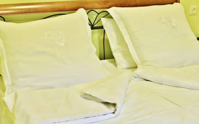Red Fox Guesthouse - photo 3
