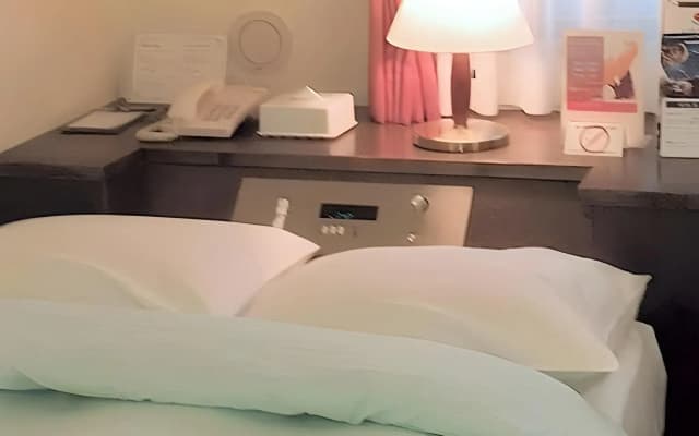 Olympic Inn Shibuya - photo 4
