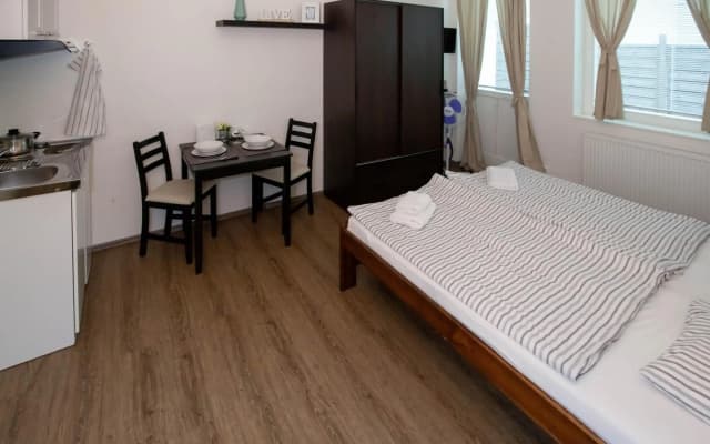 Zizkov Cosy Studio Apartments - photo 4
