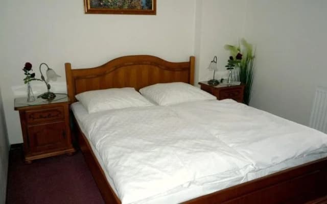 Golden Golem Hotel - photo 4