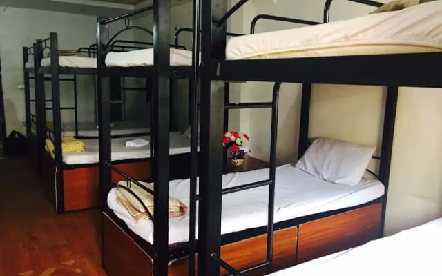 Home Backpackers Hostel - photo 4
