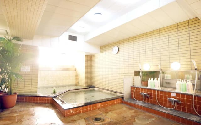 New Oriental Hotel - photo 2