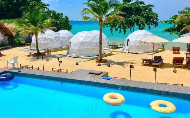 Sea Safari - photo 3