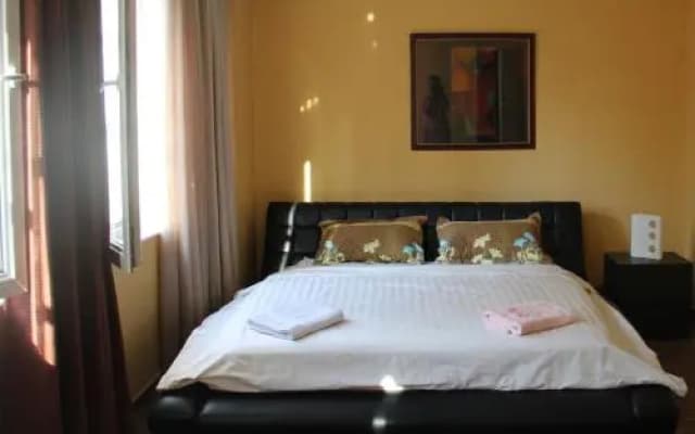 Sofia Guest House - photo 2