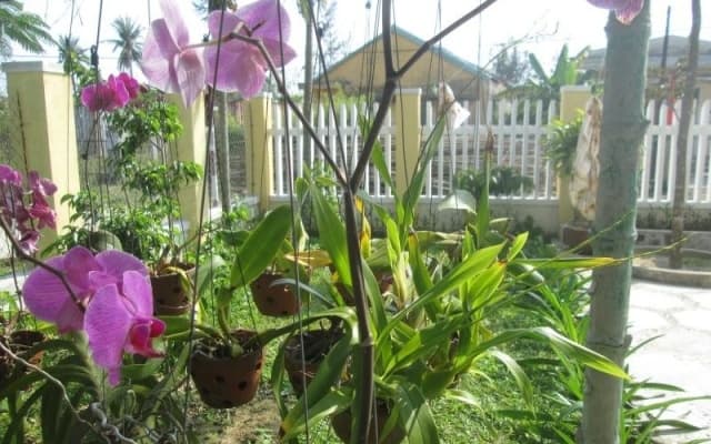 Thuan Phong Homestay - photo 4