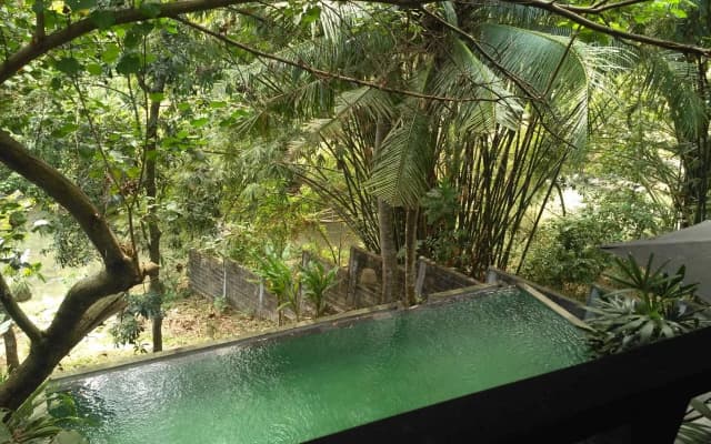 Treetop Waterfall - photo 3