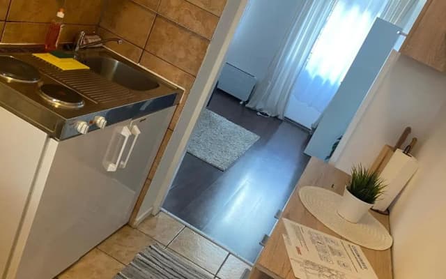 Rover Apartment - photo 2