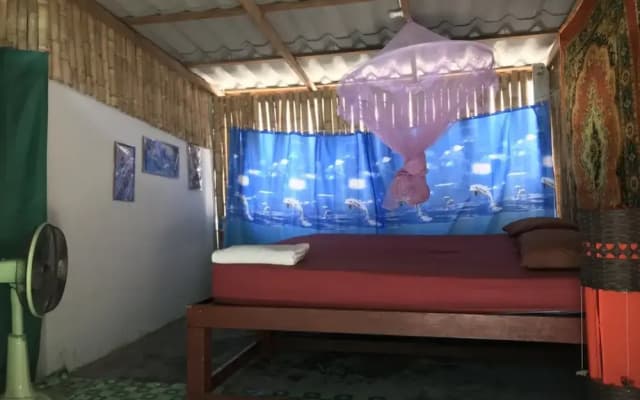 The Pier Hostel - photo 3