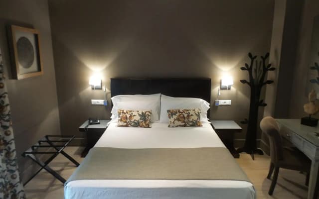 Hotel Moderno Puerta del Sol - photo 5