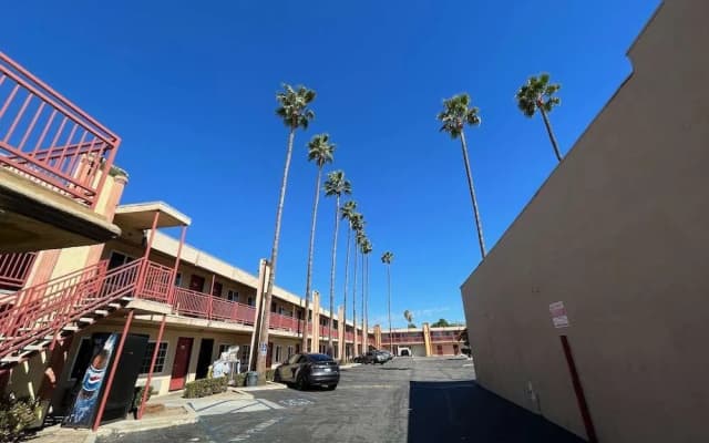 Palm Tree Inn - photo 3