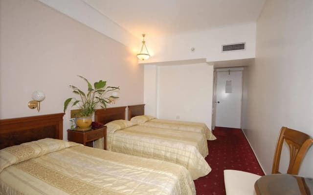 Balasca Hotel - photo 3