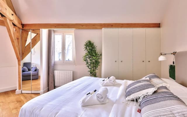 B 368 - TERASSE PERLE RARE - Quartier Latin - photo 4