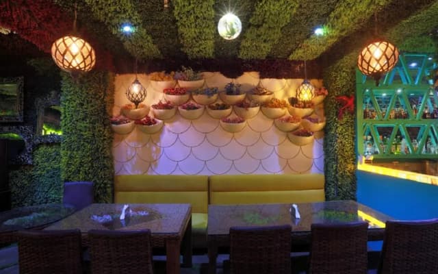 Hotel Jageer Palace - photo 3