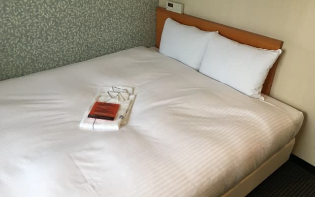 HOTEL emisia TOKYO TACHIKAWA - photo 5