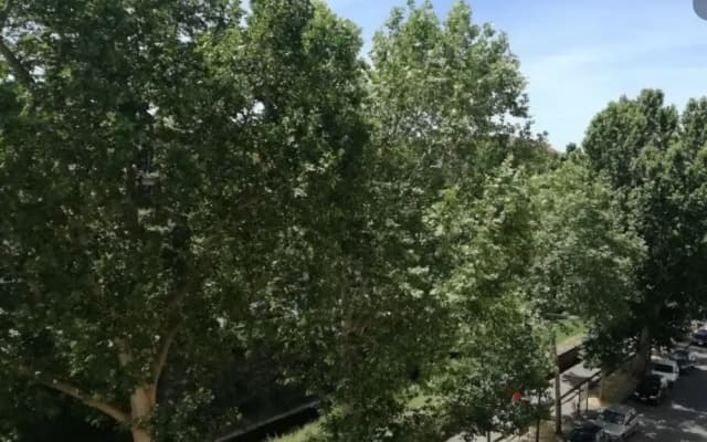 Serrantica Apartment - photo 3