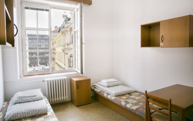 Dizzy Daisy Hostel - photo 4