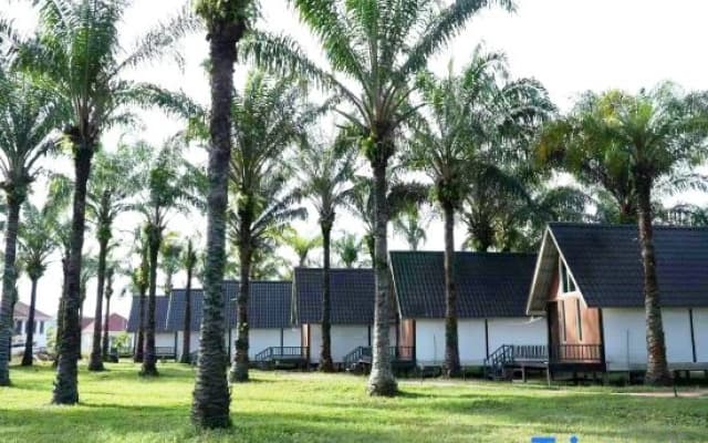 Nature Resort - photo 2