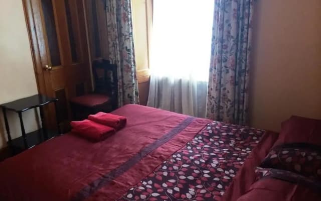 Bellevue Guest House - photo 3