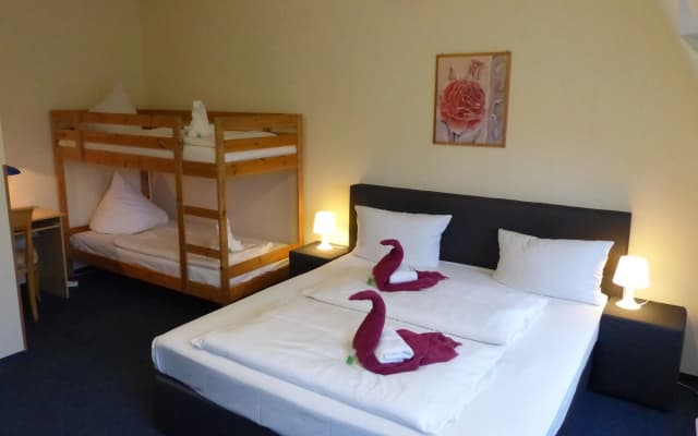 Hotel Comenius - photo 5