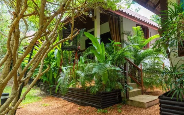 Alcove Bungalow - photo 4