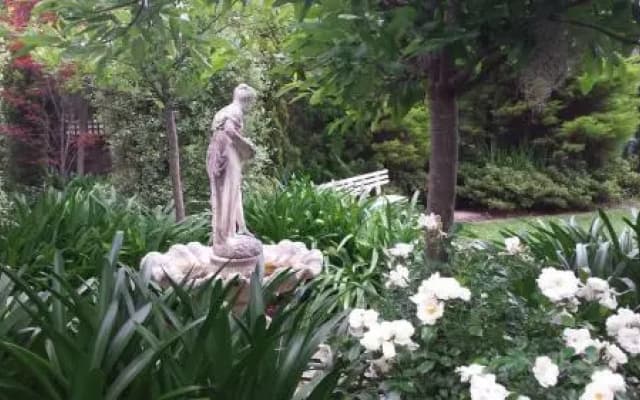 Winston Cottage at Three Sisters - photo 4