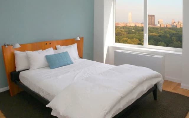 Central Park View IV - photo 5