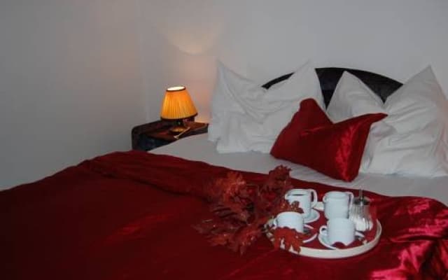Czirky Panzi Hotel - photo 5