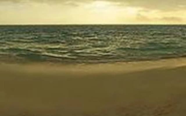 Thoddoo Ocean Front - photo 4