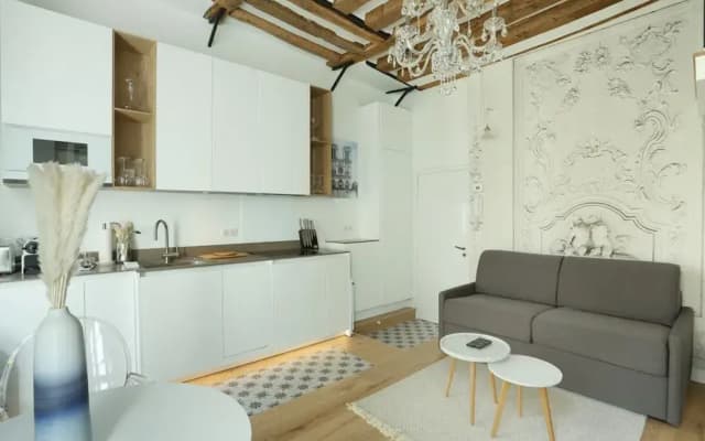 Superb Apartment Le Marais Center of Paris - photo 5