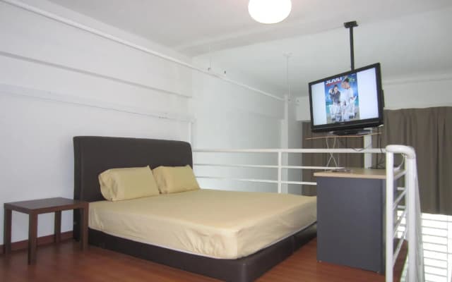 The CEO Duplex Studio Suite - photo 2