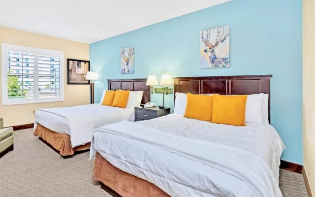 1BR Suite With Two Queens Pool and Hot Tub - photo 4