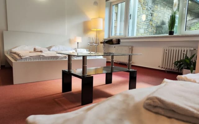Vila Prag - photo 2