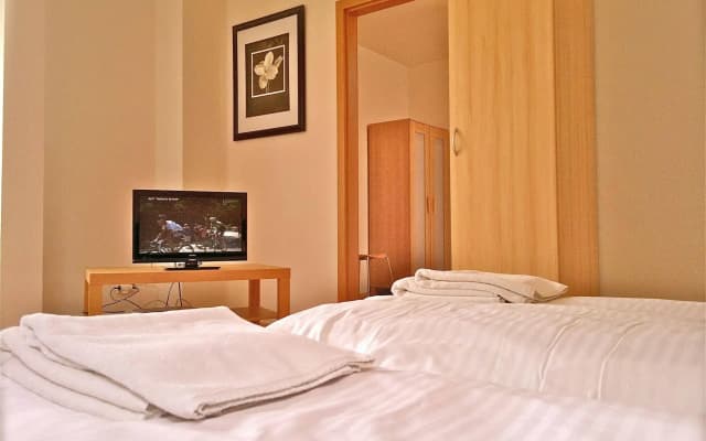 Residence Pinkas Prague - photo 2