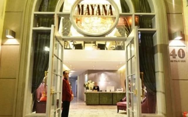 Mayana Hotel - photo 2