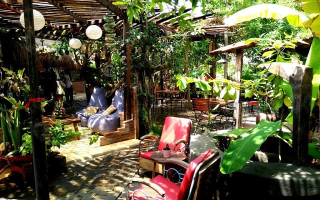 The Alchemist Lodge - photo 3