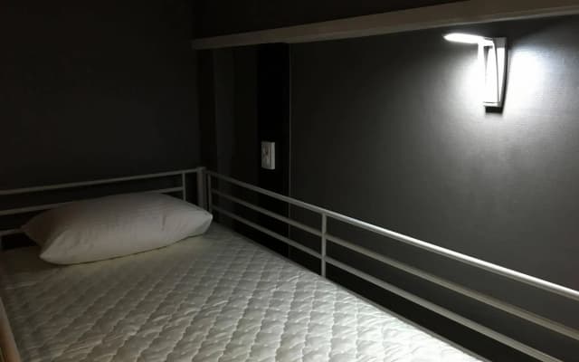 Mini Hotel Insa - photo 3