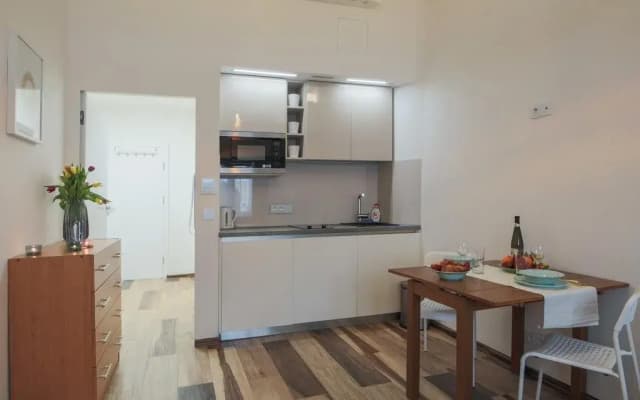 Bilkova Apartments - photo 3