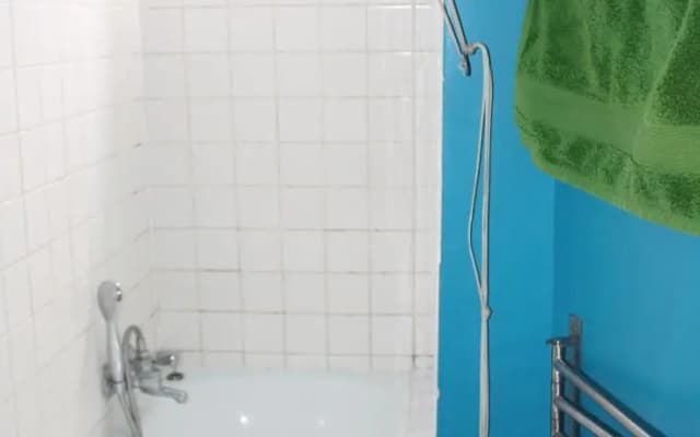 Central View Apartment - photo 4