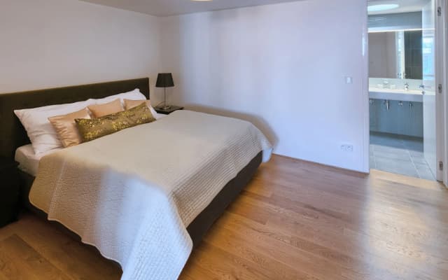 EMPIRENT Karlin Apartments - photo 3