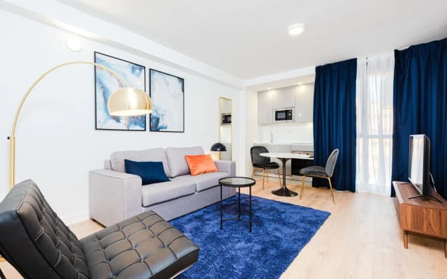Premium Accomodation in La Rosaleda - Madrid - photo 3