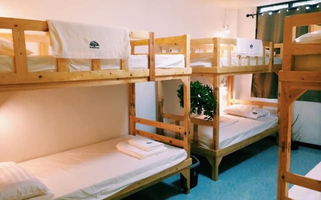 Tree Hostel Bangkok - photo 2
