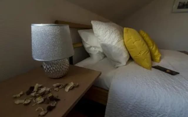 Warm & Friendly Apartment II. - photo 5
