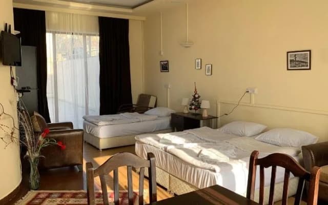 Hotel Oasis - photo 4