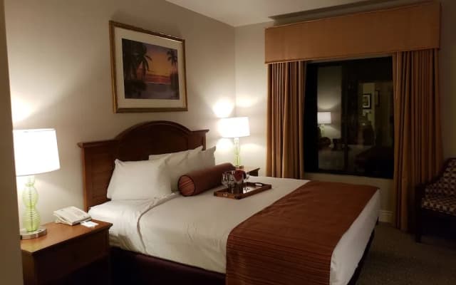 Suites at the Tahiti Village - photo 2