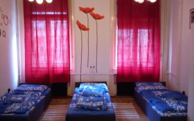 Violet Hostel - photo 4